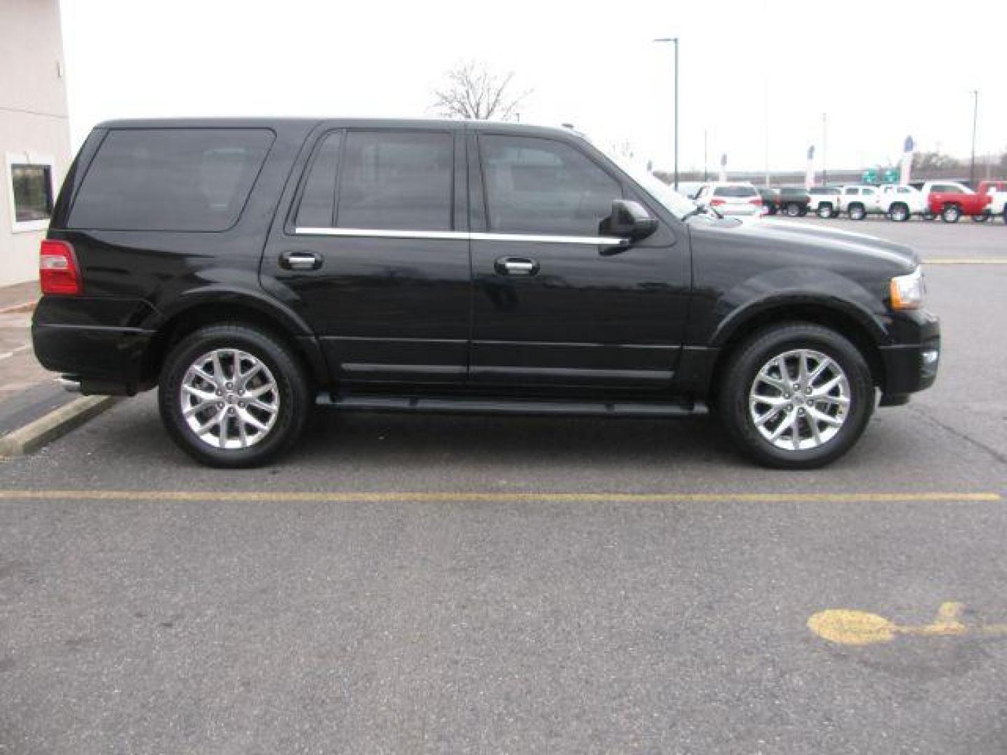 2016 Black Ford Expedition Limited 2WD (1FMJU1KT9GE) with an 3.5L V6 DOHC 24V FFV engine, 6-Speed Automatic transmission, located at 2443 Albert Pike, Hot Springs, AR, 71913, (501) 623-6255, 34.492222, -93.109993 - Photo#4