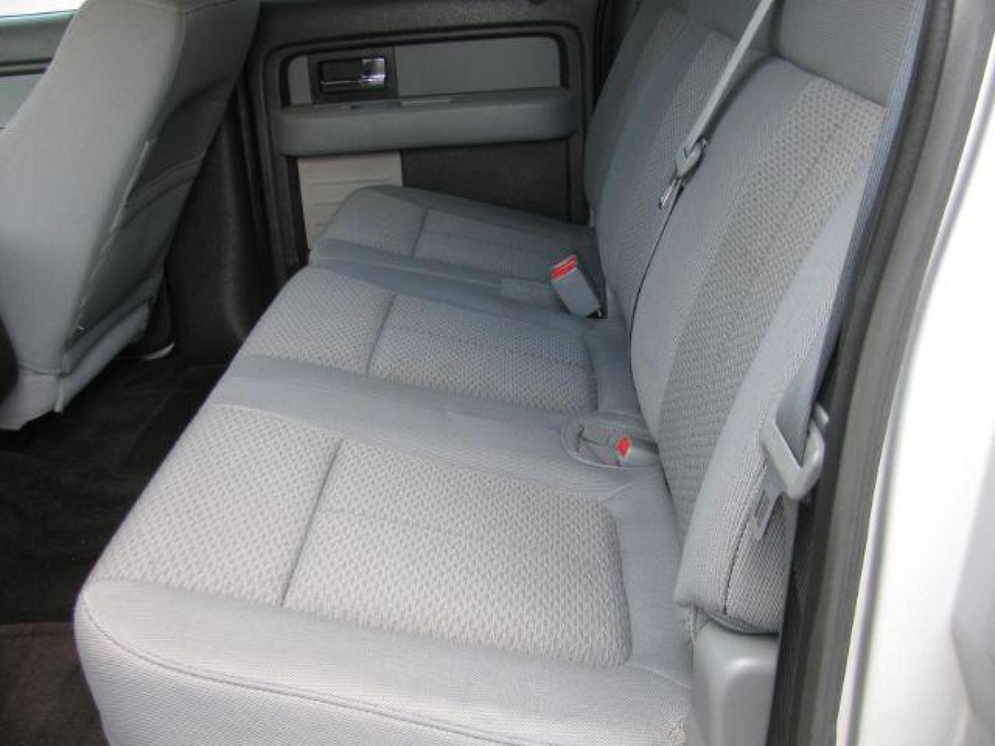 2014 Silver Ford F-150 XLT (1FTFW1ET0EK) with an EcoBoost 3.5L V-6 gasoline direct injection engine, Automatic transmission, located at 2443 Albert Pike, Hot Springs, AR, 71913, (501) 623-6255, 34.492222, -93.109993 - Photo#8