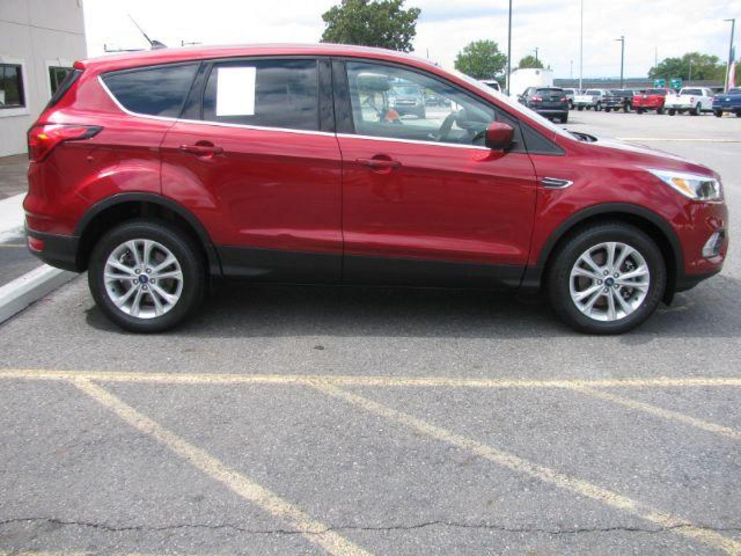 2019 Red Ford Escape SE (1FMCU9GD9KU) with an EcoBoost 1.5L I-4 gasoline direct injection engine, Automatic transmission, located at 2443 Albert Pike, Hot Springs, AR, 71913, (501) 623-6255, 34.492222, -93.109993 - Photo#4