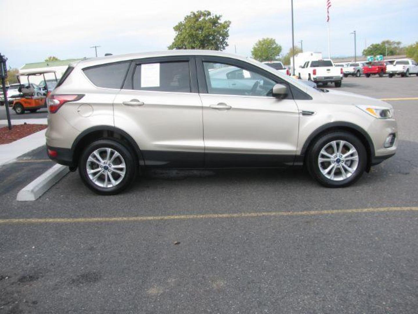 2017 Gold Ford Escape SE (1FMCU0GD1HU) with an EcoBoost 1.5L I-4 gasoline direct injection engine, Automatic transmission, located at 2443 Albert Pike, Hot Springs, AR, 71913, (501) 623-6255, 34.492222, -93.109993 - Photo#1