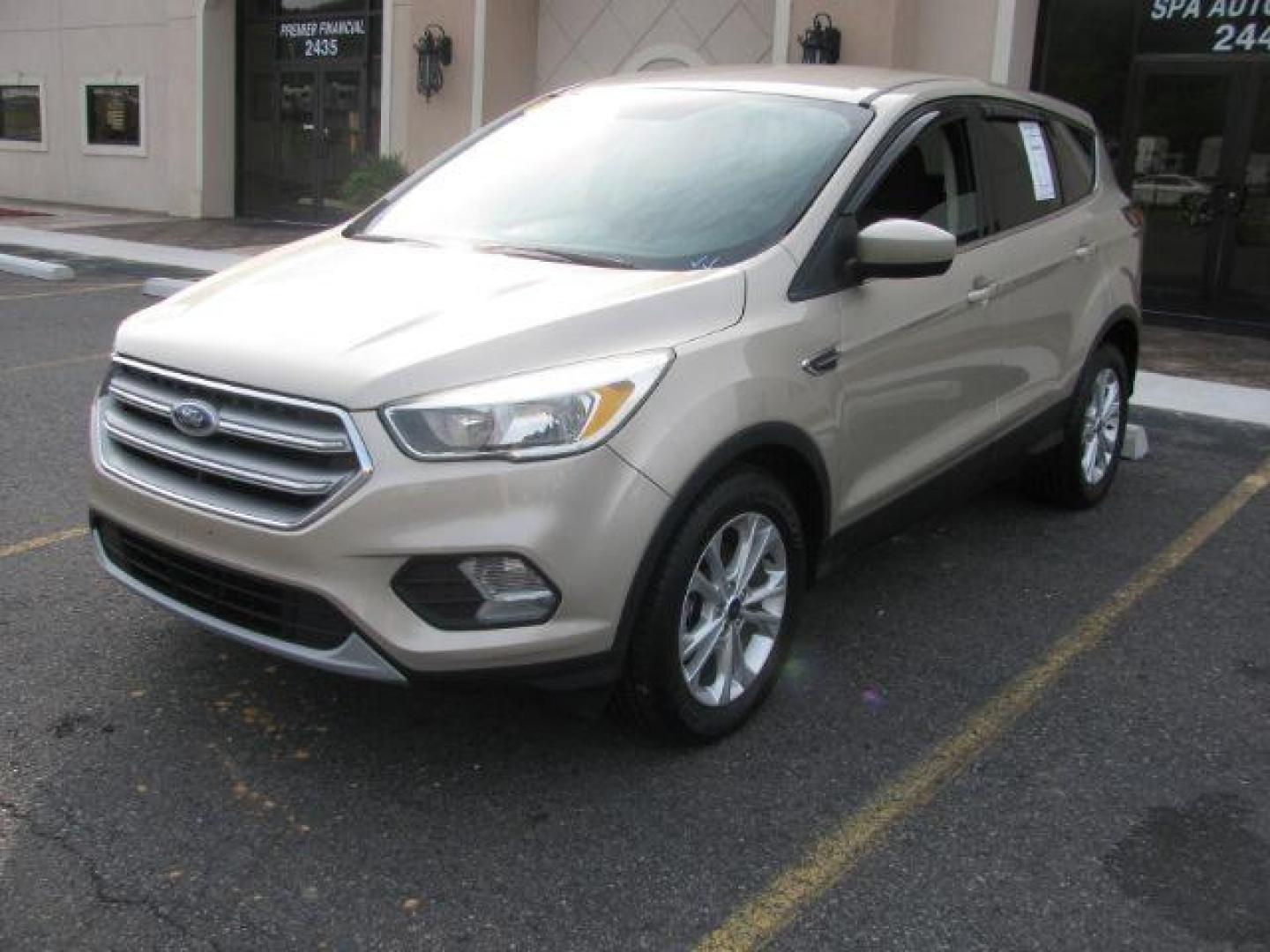 2017 Gold Ford Escape SE (1FMCU0GD1HU) with an EcoBoost 1.5L I-4 gasoline direct injection engine, Automatic transmission, located at 2443 Albert Pike, Hot Springs, AR, 71913, (501) 623-6255, 34.492222, -93.109993 - Photo#5