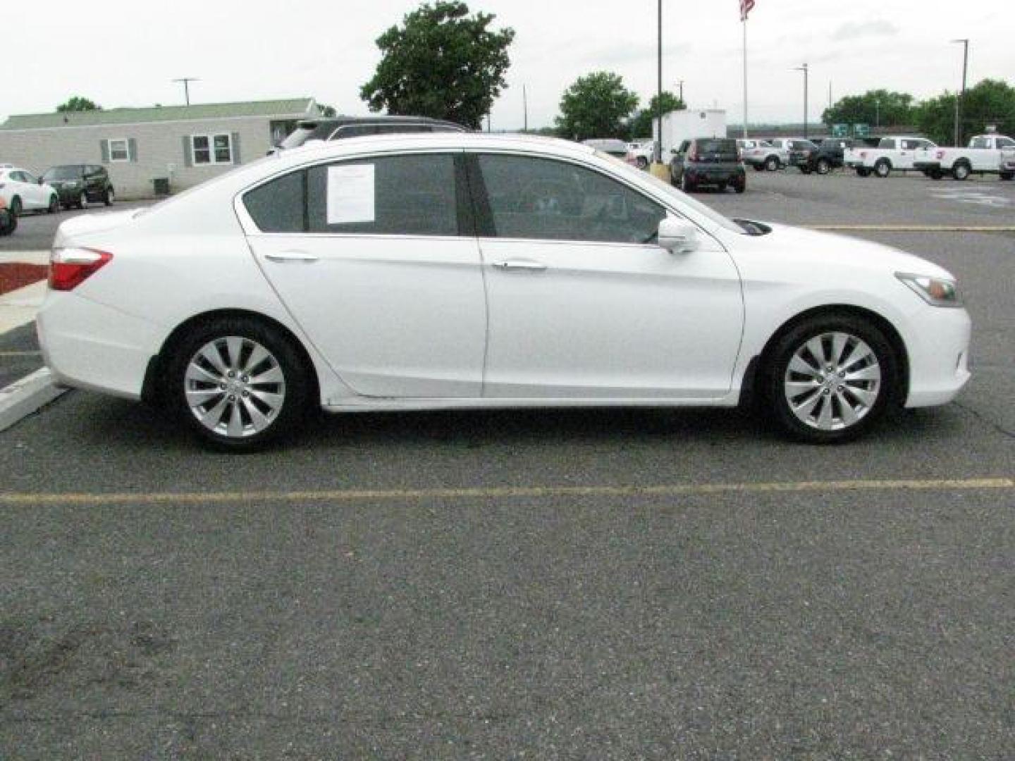 2014 White Honda Accord EX-L (1HGCR2F83EA) with an 2.4L I-4 gasoline direct injection engine, Automatic transmission, located at 2443 Albert Pike, Hot Springs, AR, 71913, (501) 623-6255, 34.492222, -93.109993- Photo#4