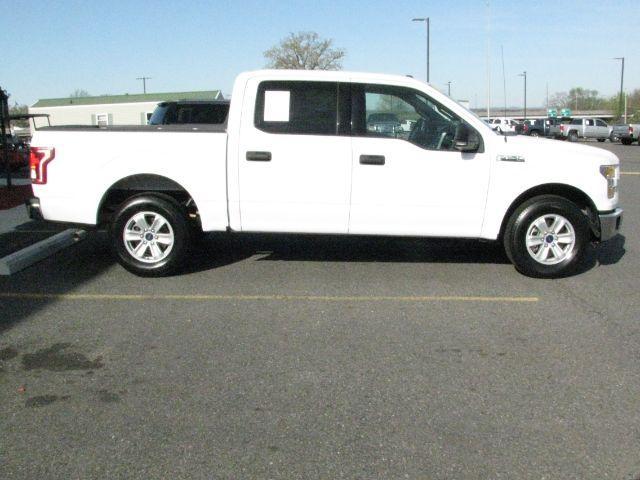 2015 White Ford F-150 XLT (1FTEW1C81FK) with an 3.5L V-6 DOHC engine, Automatic transmission, located at 2443 Albert Pike, Hot Springs, AR, 71913, (501) 623-6255, 34.492222, -93.109993 - Photo#1